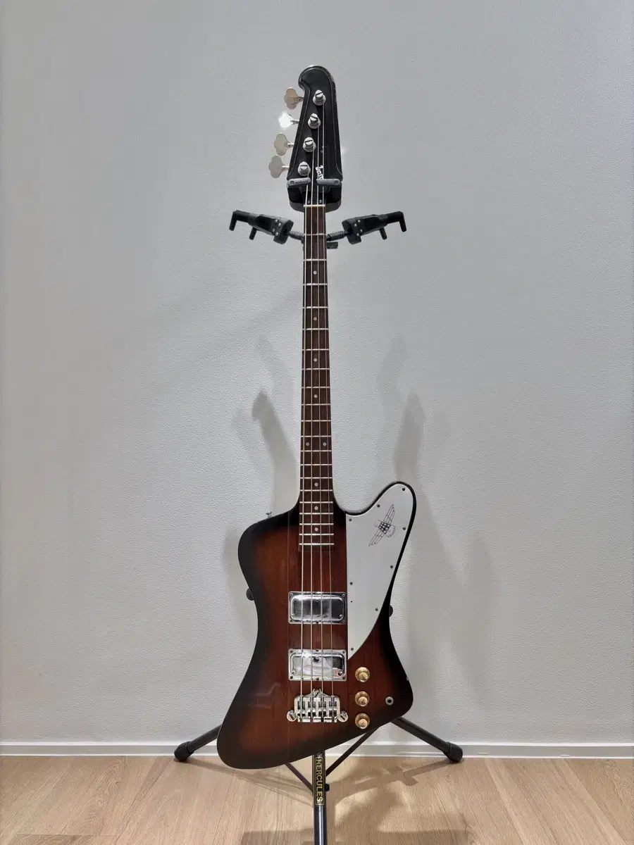 1976 깁슨 썬더버드 [Gibson Thunderbird Bicente